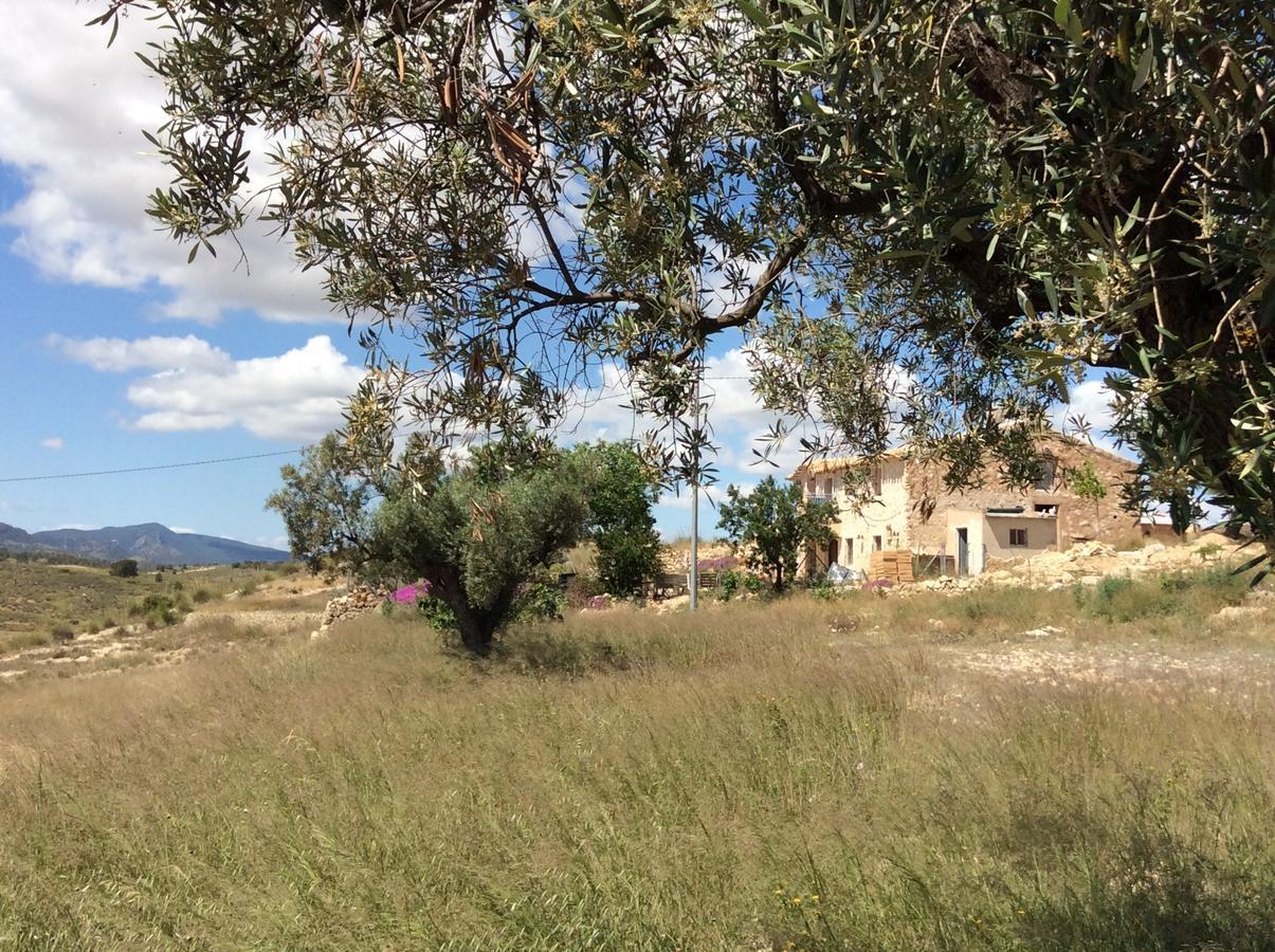 Torre del Rico Los Cuatro Vientos B&B מראה חיצוני תמונה